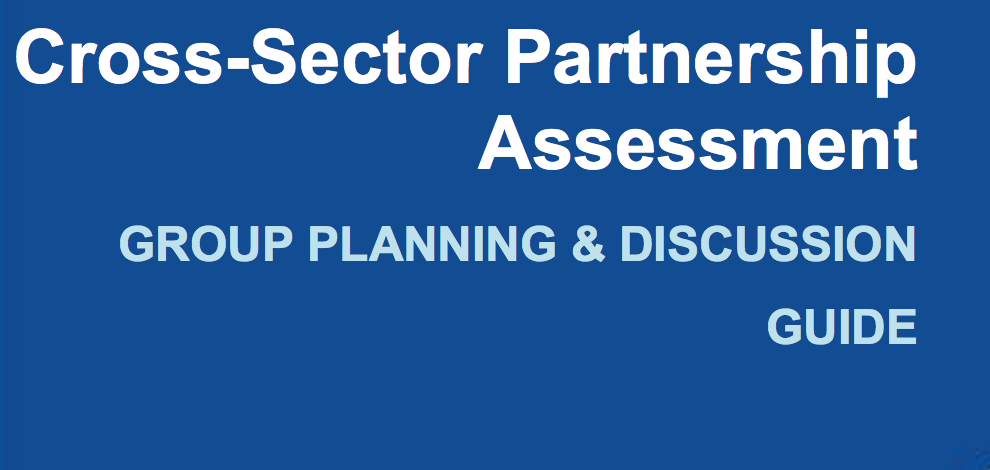 Cross-Sector Partnership Assessment: Group Planning & Discussion